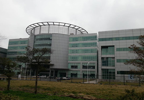 img-(1)